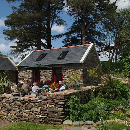 Ballycommane House & Garden Durrus エクステリア 写真