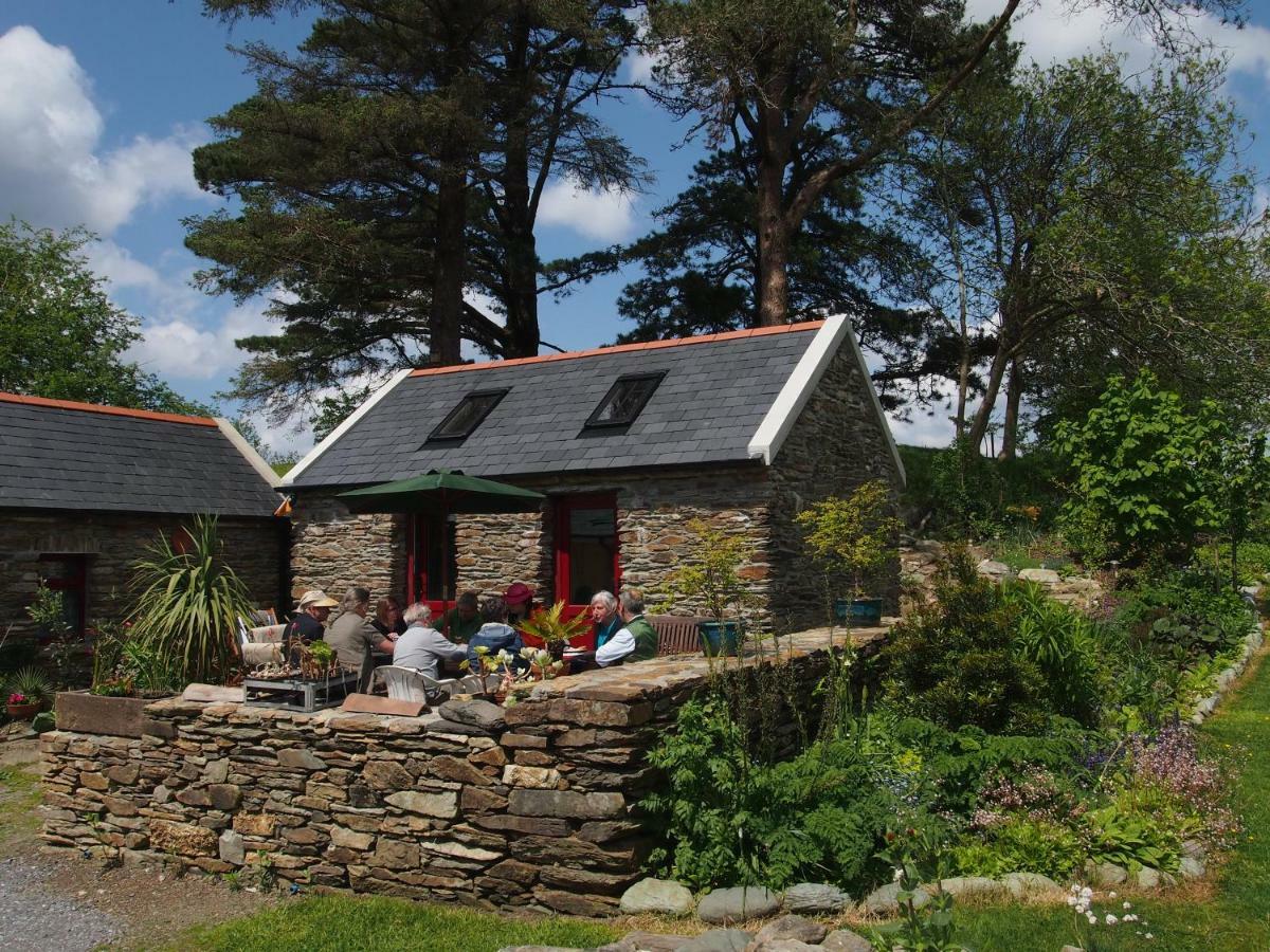 Ballycommane House & Garden Durrus エクステリア 写真