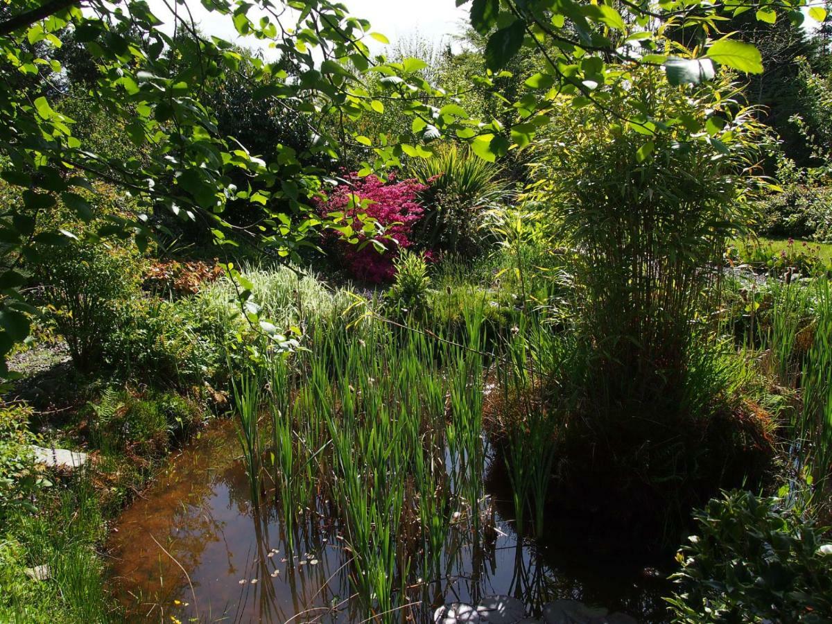 Ballycommane House & Garden Durrus エクステリア 写真
